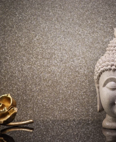 Banner Image Banner Image