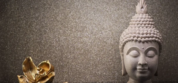 Banner Image Banner Image