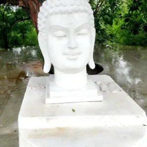Buddha Face